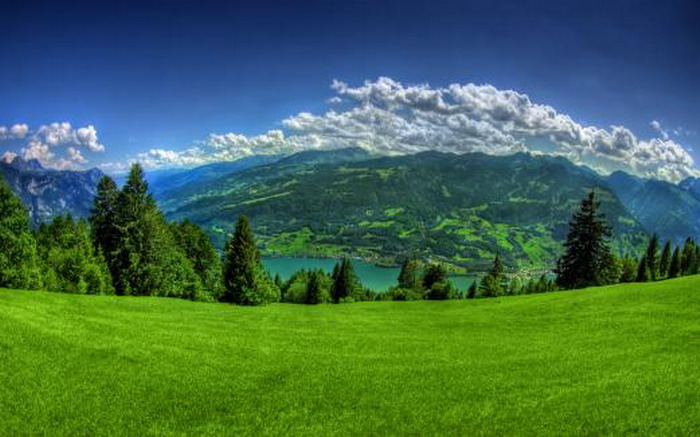 5 (700x437, 85Kb)